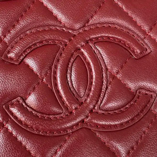 Tony Luxuries CHANEL VANITY CASE 0131