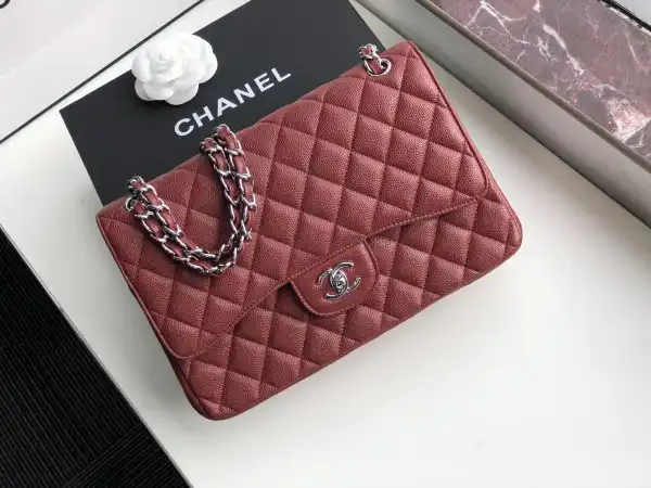 Tony Luxuries CHANEL FLAP BAG 30CM 0125